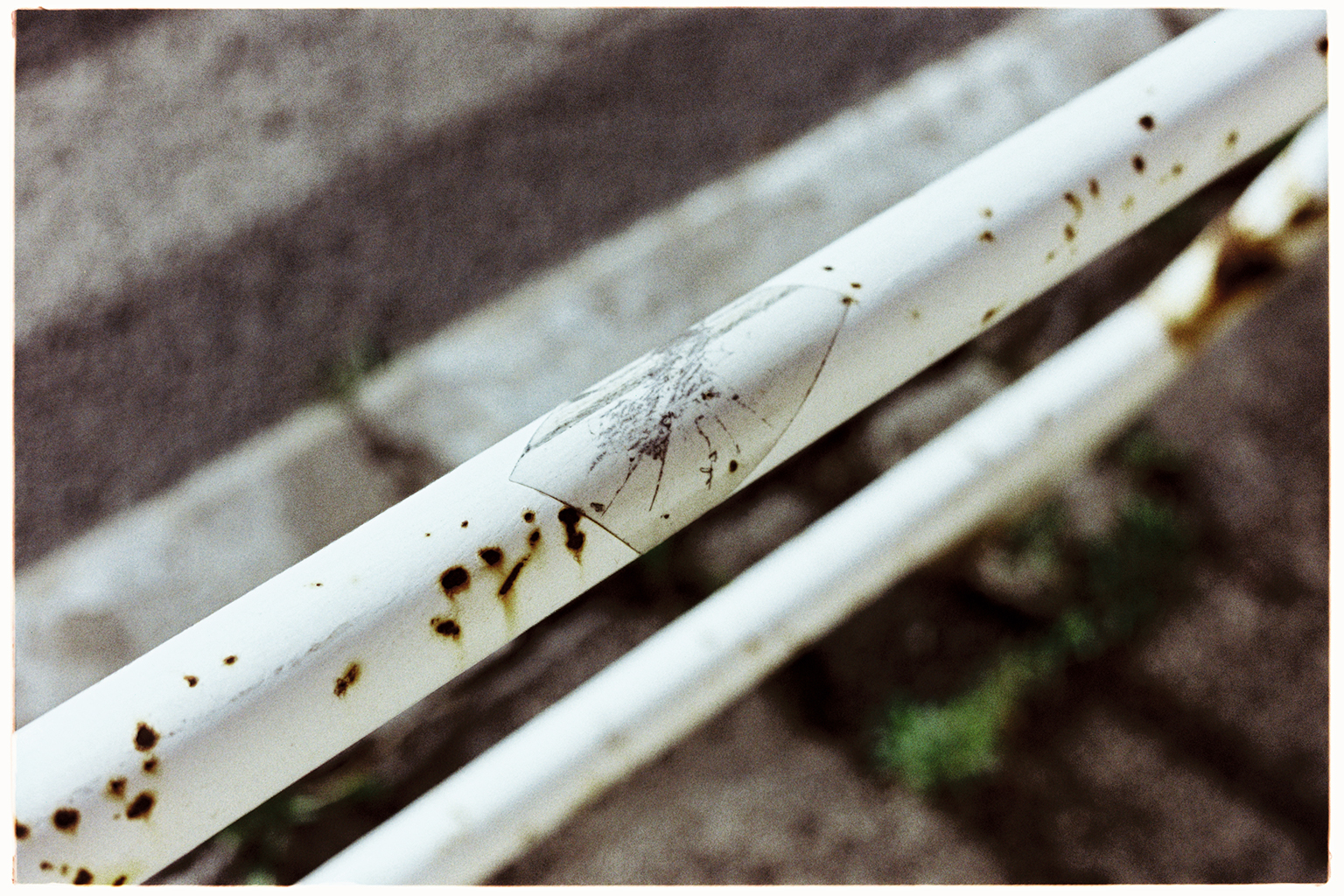 Vyvolanie alternatívne - Bleach Bypass