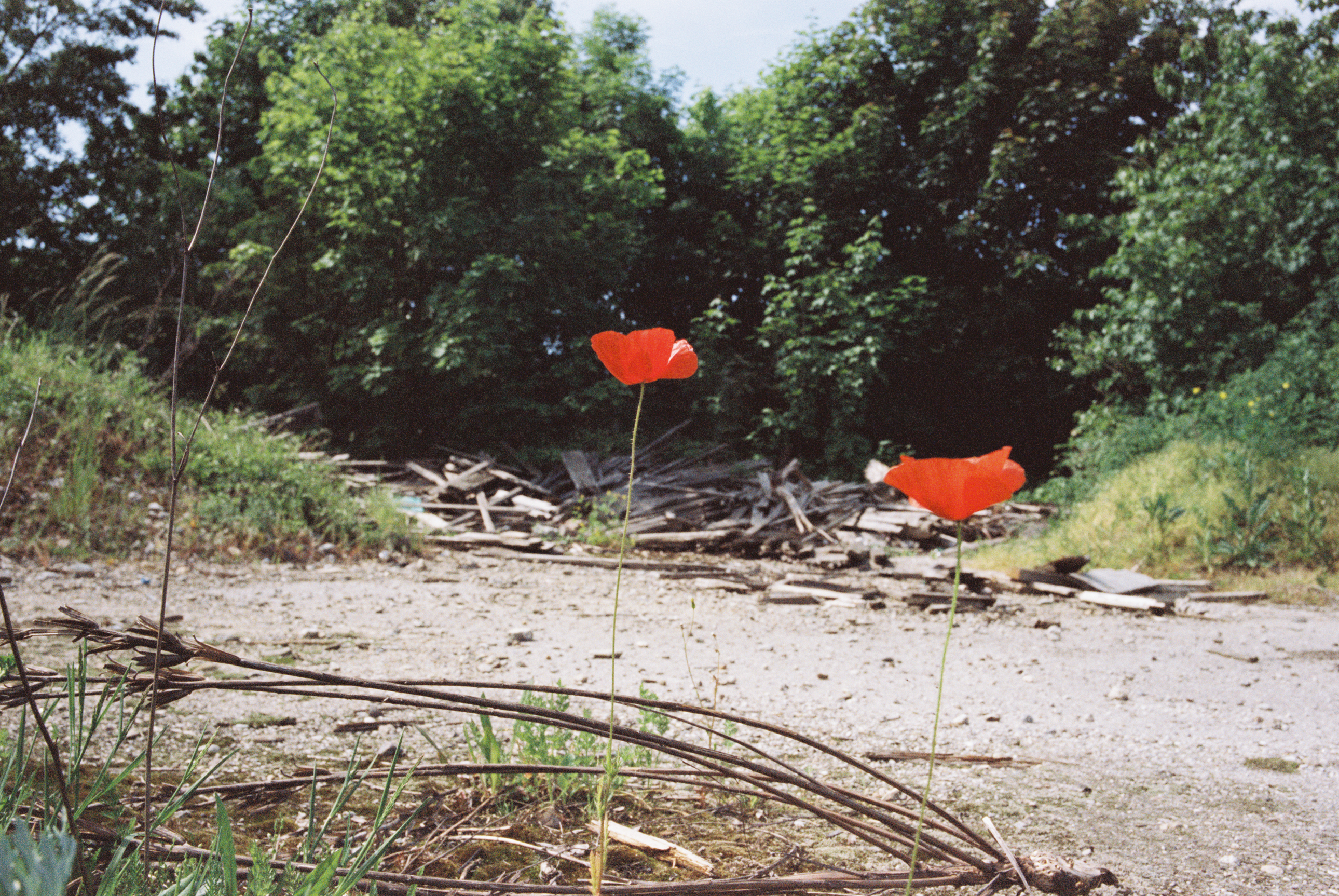 Film zdarma 2x Void 200 135-36 farebný motion picture kinofilm 