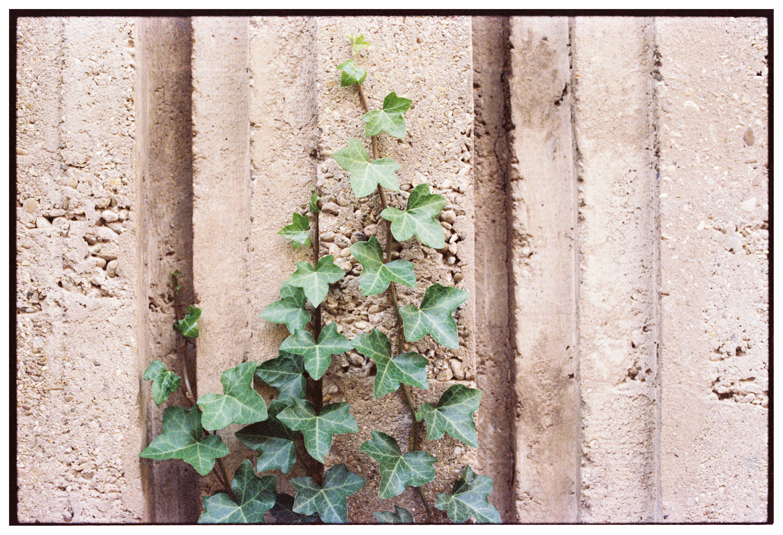 Void 400 135-36 farebný motion picture kinofilm